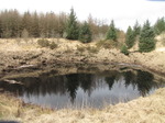 SX13233 Pwll y Felin Swallow Hole.jpg